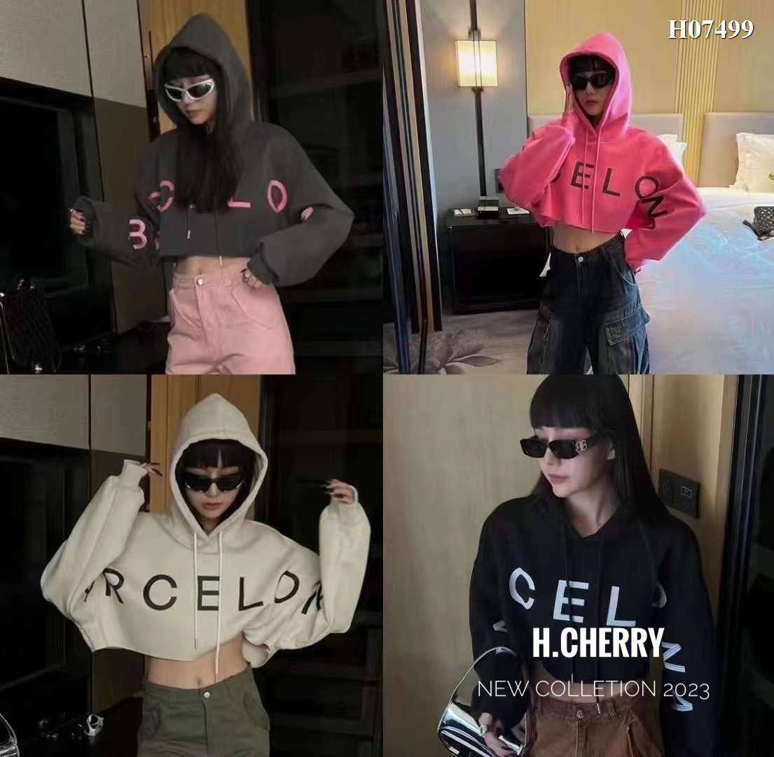 Hoddie 7499