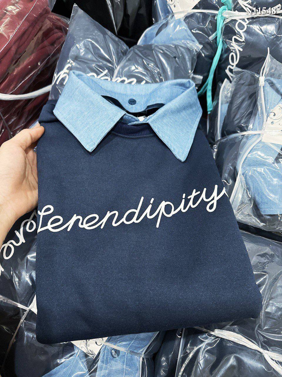 Hoddie Dark Blue